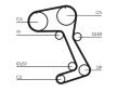 Ozubený řemen CONTINENTAL CTAM CT831