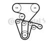 ozubení,sada rozvodového řemene CONTINENTAL CTAM CT877K4PRO