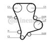 ozubení,sada rozvodového řemene CONTINENTAL CTAM CT994K1