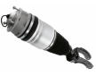 Vzduchova vzpera SACHS 319 417