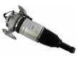 Vzduchova vzpera SACHS 319 420