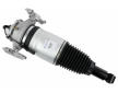 Vzduchova vzpera SACHS 319 421