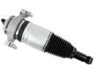Vzduchova vzpera SACHS 319 421