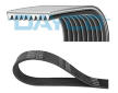 ozubený klínový řemen DAYCO 9PK1715HD