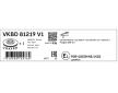 Brzdový kotúč SKF VKBD 81219 V1