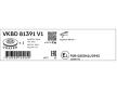 Brzdový kotúč SKF VKBD 81391 V1