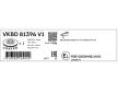 Brzdový kotúč SKF VKBD 81396 V1