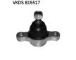 Zvislý/nosný čap SKF VKDS 815517