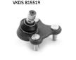 Zvislý/nosný čap SKF VKDS 815519
