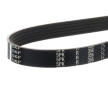 Ozubený klinový remeň SKF VKMV 5PK1146 R