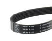 ozubený klínový řemen SKF VKMV 6PK1020 R