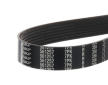 ozubený klínový řemen SKF VKMV 7PK1190 R