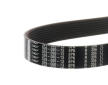 ozubený klínový řemen SKF VKMV 8PK942 R