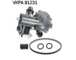 Vodní čerpadlo, chlazení motoru SKF VKPA 81231
