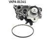 Vodní čerpadlo, chlazení motoru SKF VKPA 81341