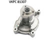 Vodní čerpadlo, chlazení motoru SKF VKPC 81307