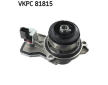 Vodní čerpadlo, chlazení motoru SKF VKPC 81815