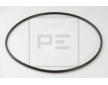 Těsnicí kroužek, náboj kola (planetová převodovka) PE Automotive 011.077-00A
