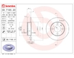 Brzdový kotouč BREMBO 08.7165.21