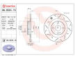 Brzdový kotouč BREMBO 08.D224.1S