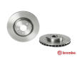 Brzdový kotouč BREMBO 09.A554.10