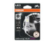 Zarovka, mlhovka ams-OSRAM 64210DWESY-01B