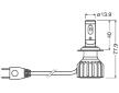 Zarovka, dalkovy svetlomet OSRAM 64210DWNBG2