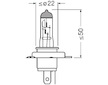 Autožárovka Osram H19 12V 60/55W OS 64181L