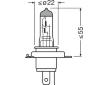 Zarovka, mlhovka OSRAM 64193NBS-2HB