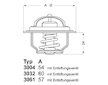 Termostat, chladivo BorgWarner (Wahler) 3004.82D1