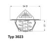 Termostat, chladivo BorgWarner (Wahler) 3023.87D