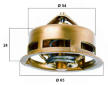 Termostat, chladivo BorgWarner (Wahler) 3096.75