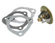 Termostat, chladivo BorgWarner (Wahler) 3118.82D1