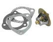 Termostat, chladivo BorgWarner (Wahler) 3118.92D1