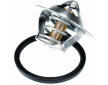 Termostat chladenia BorgWarner (Wahler) 3466.89D