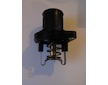 Termostat, chladivo BorgWarner (Wahler) 3463.89D