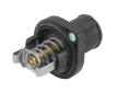 Termostat, chladivo BorgWarner (Wahler) 3463.89D