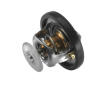 Termostat, chladivo BorgWarner (Wahler) 3497.88D