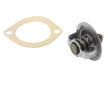 Termostat, chladivo BorgWarner (Wahler) 3499.88D