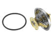 Termostat, chladivo BorgWarner (Wahler) 4049.87D