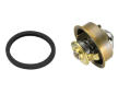 Termostat, chladivo BorgWarner (Wahler) 4089.82D