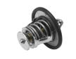 Termostat, chladivo BorgWarner (Wahler) 410180.82D