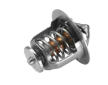 Termostat, chladivo BorgWarner (Wahler) 410181.82D