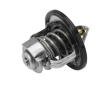 Termostat, chladivo BorgWarner (Wahler) 410182.84D