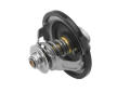 Termostat, chladivo BorgWarner (Wahler) 410289.81D