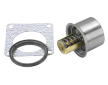 Termostat, chladivo BorgWarner (Wahler) 411045.82D