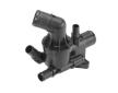 Termostat, chladivo BorgWarner (Wahler) 411922.80D0