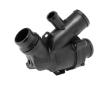 Termostat, chladivo BorgWarner (Wahler) 412481.88D0