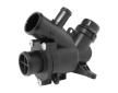 Termostat, chladivo BorgWarner (Wahler) 412481.88D0