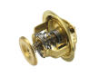 Termostat, chladivo BorgWarner (Wahler) 4126.88